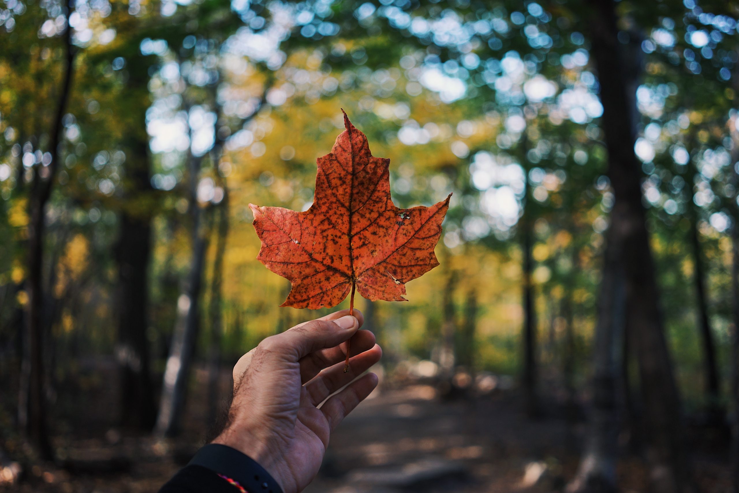 Canada